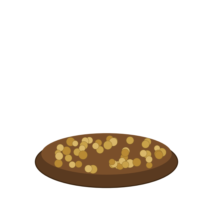 Coriander seeds